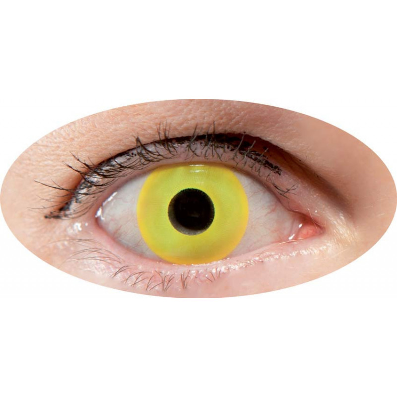 lentilles oeil jaune annuel