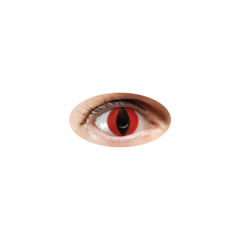 lentilles oeil chat rouge annuel