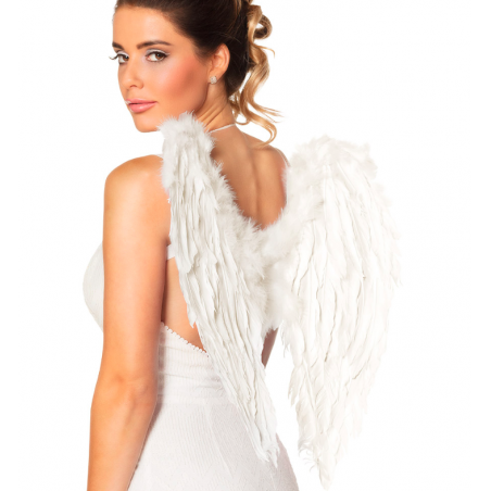 ailes plumes blanches