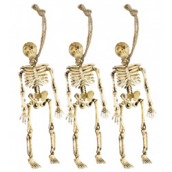 Squelettes PM