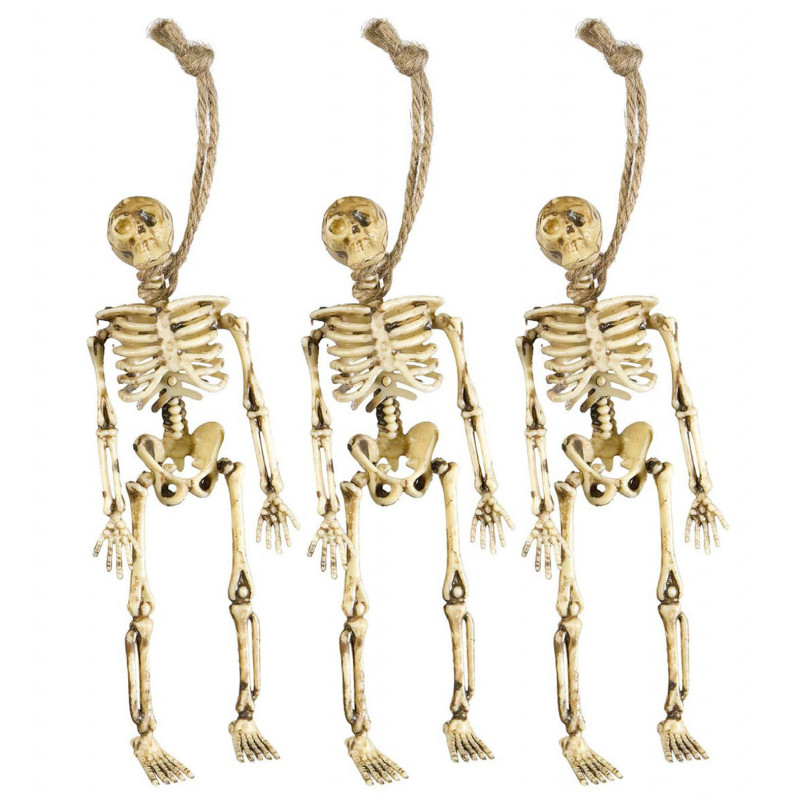 Squelettes miniatures