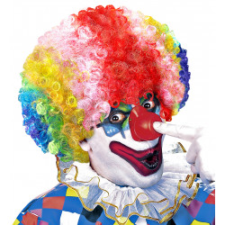 Perruque Clown multicolore