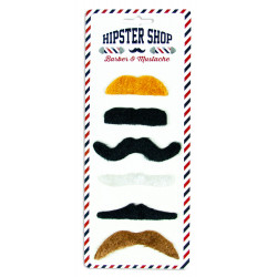 6 moustaches assortis de couleurs