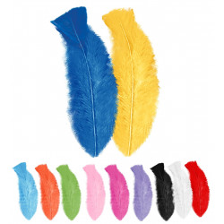 50 plumes multicolores