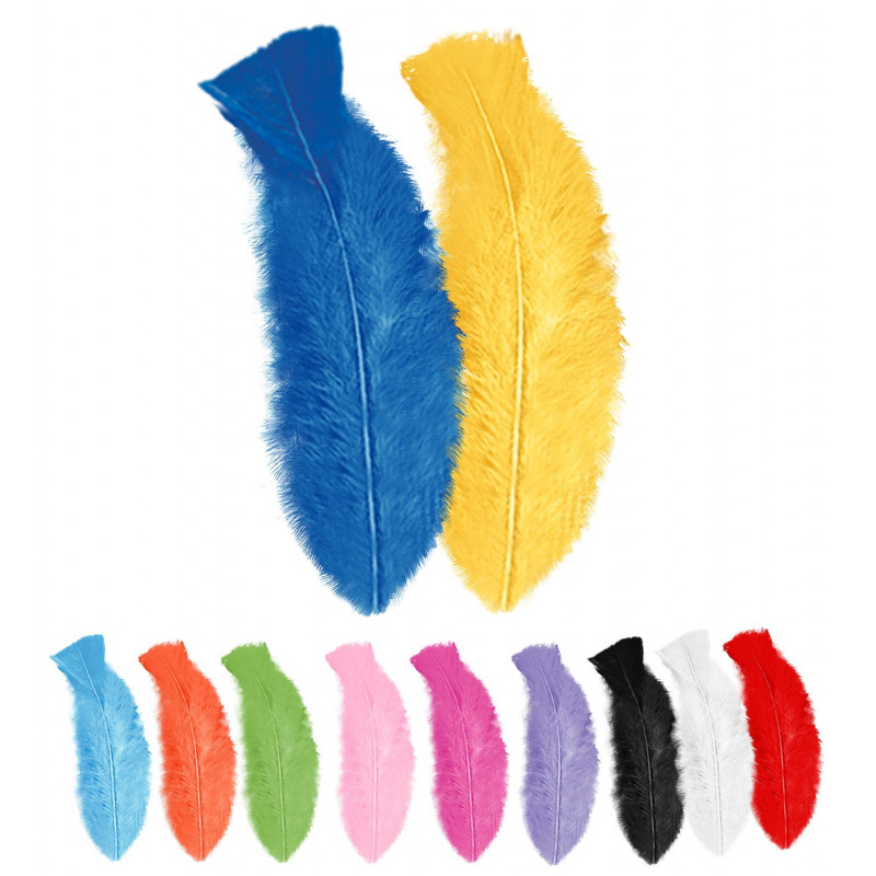 50 plumes multicolores