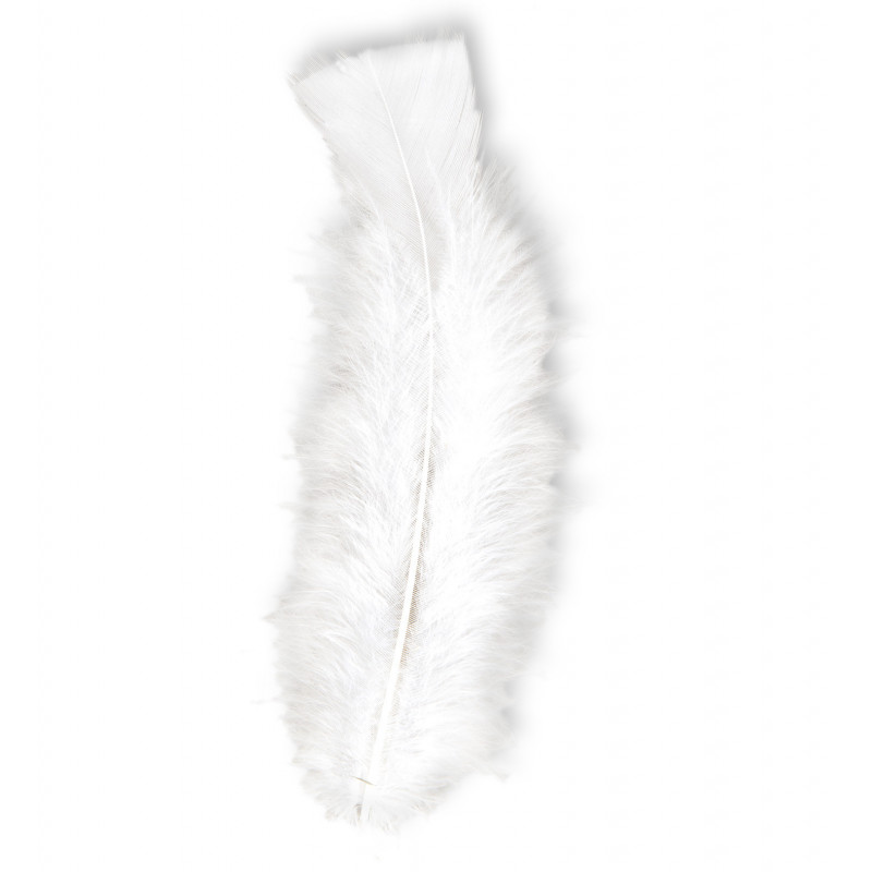 50 plumes blanches à coller