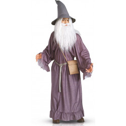 Costume SdA Gandalf vendu...