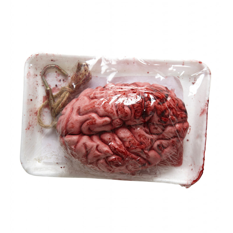 Cervelle factice en plastique