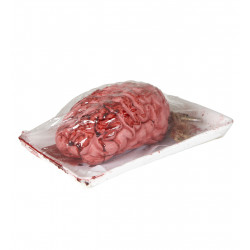 Cerveau factice en plastique