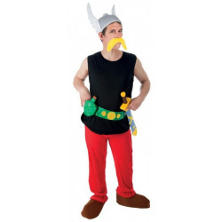 Costume A Asterix vendu...