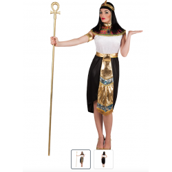 Costume Nefertari/Cléopatre