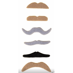 6 moustaches de couleurs assortis