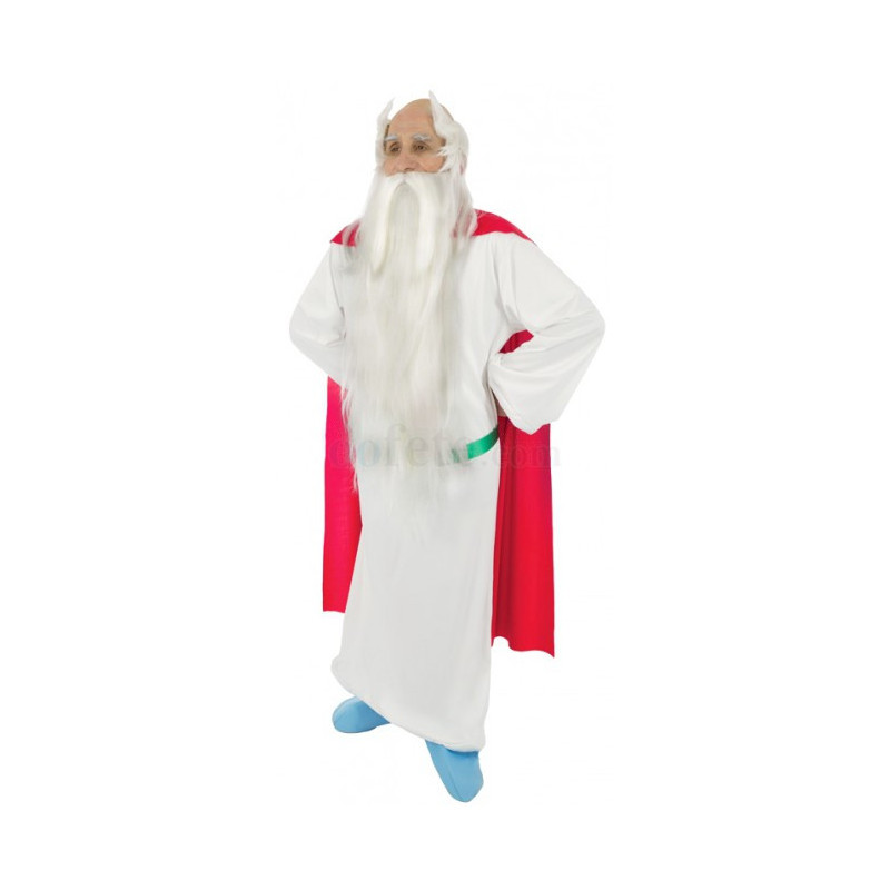 Costume Panoramix Costume Panoramix