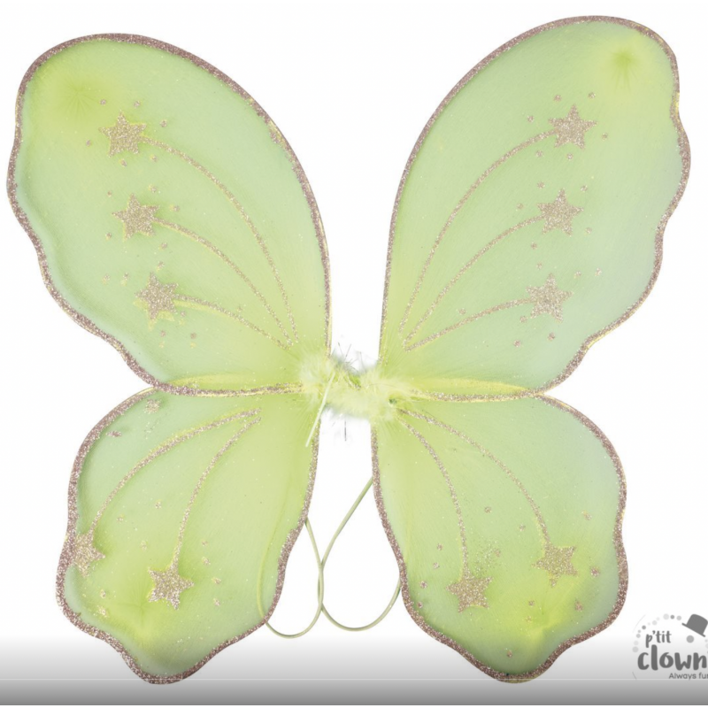 Ailes de papillon vert avec pallettes argentés