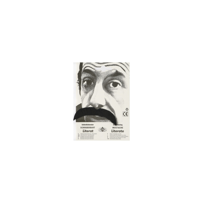 Moustache Brassens noire adhésive