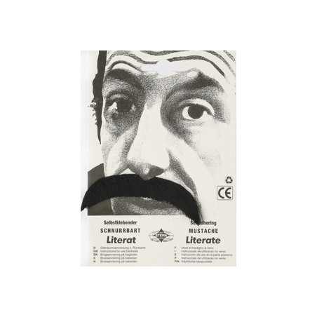 Moustache Brassens noire adhésive
