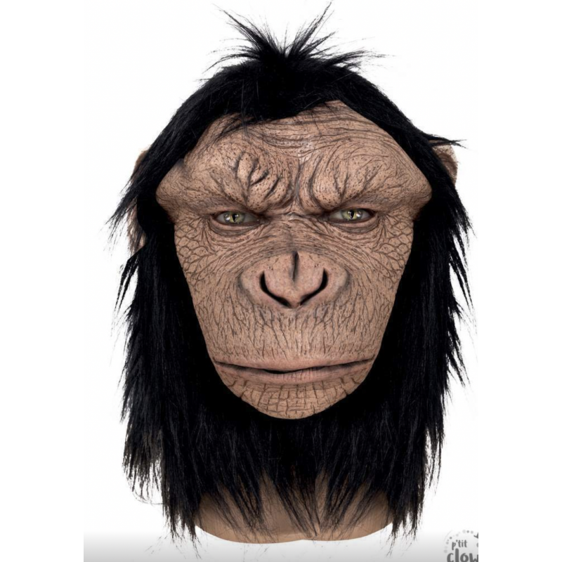 Masque Chimpanzé Singe intégral