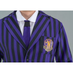 CCostume Uniforme Noir / Violet Mercredi Addams Homme