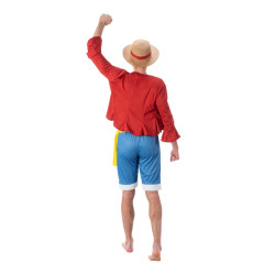 Costume One Peace Luffy