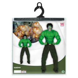 Costume Super héros Haut / Chemise vert