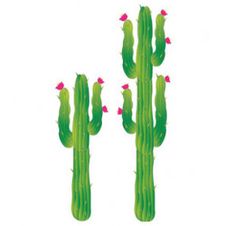 2 Cactus